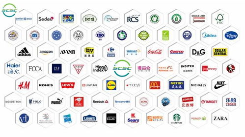 GSS驗廠無憂，智慧行定制化咨詢 高效拿證，贏取市場先機